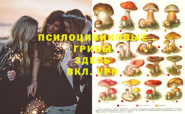 винт Володарск