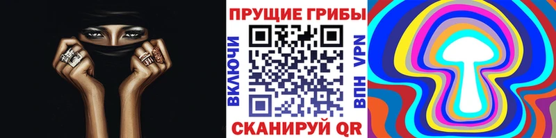 shop телеграм  Кадников  Галлюциногенные грибы мухоморы 